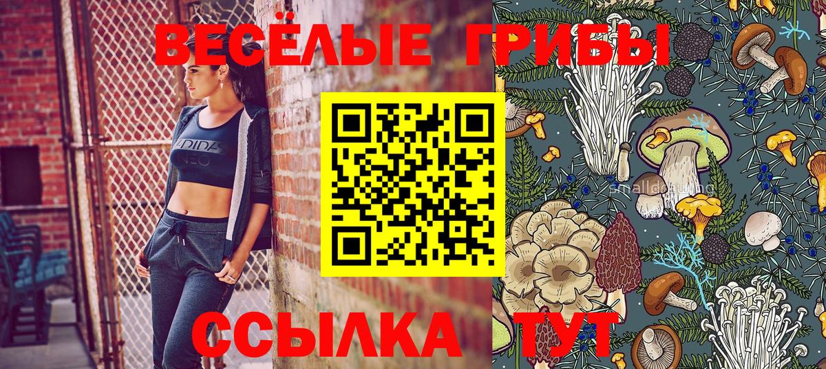 Галлюциногенные грибы GOLDEN TEACHER Ржев